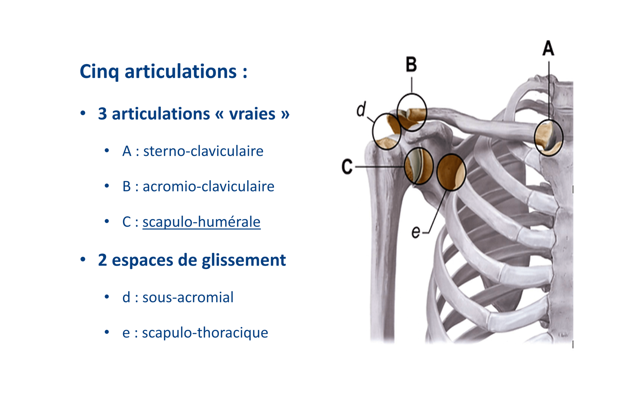 Douleurs d
