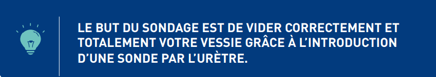 but sondage