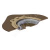 PW00977_3 Support convexe Flexima 3S - FSK
