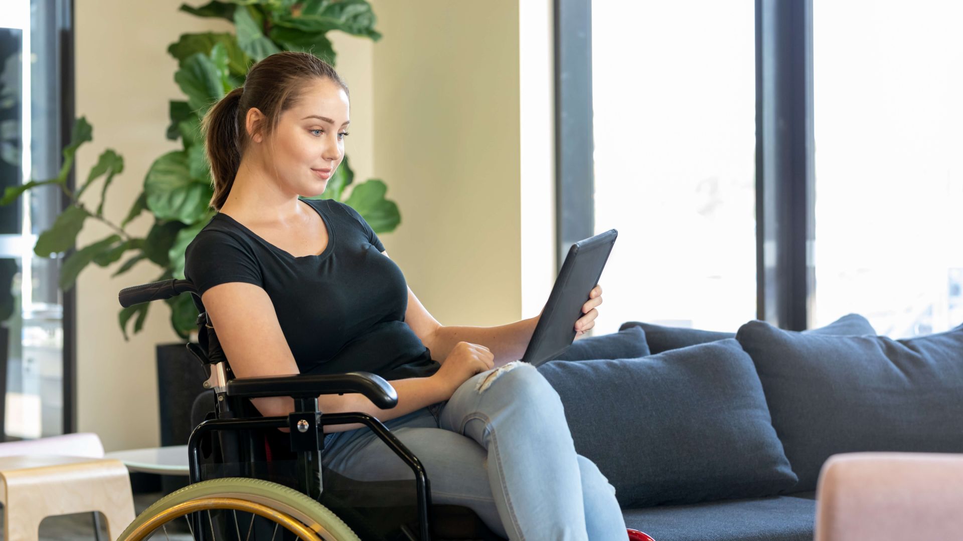 Les livrets, r&eacute;seaux multi-th&eacute;matiques