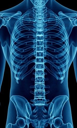 Comprendre sa colonne